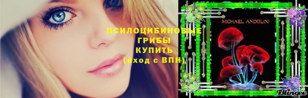 шишки Беломорск