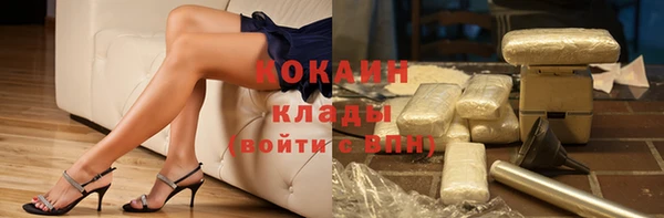 шишки Беломорск