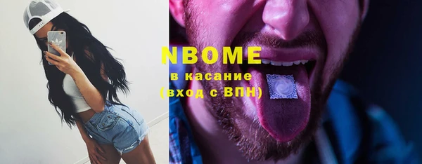 прущие грибы Балабаново