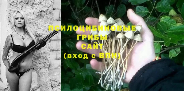 прущие грибы Балабаново