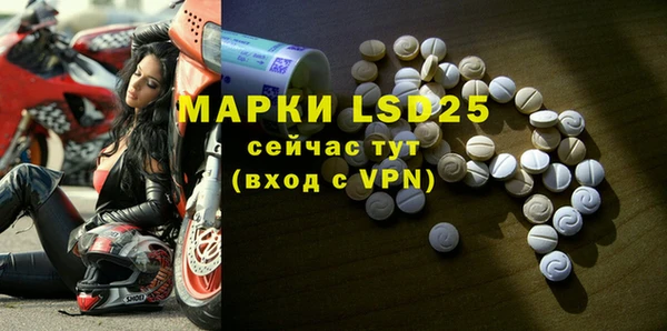 ПСИЛОЦИБИНОВЫЕ ГРИБЫ Белокуриха
