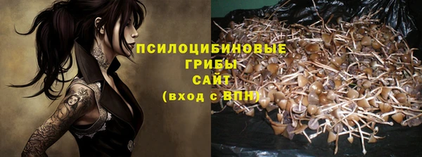 ПСИЛОЦИБИНОВЫЕ ГРИБЫ Белокуриха