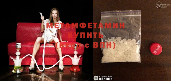 шишки Беломорск