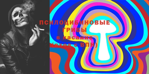 ПСИЛОЦИБИНОВЫЕ ГРИБЫ Белокуриха